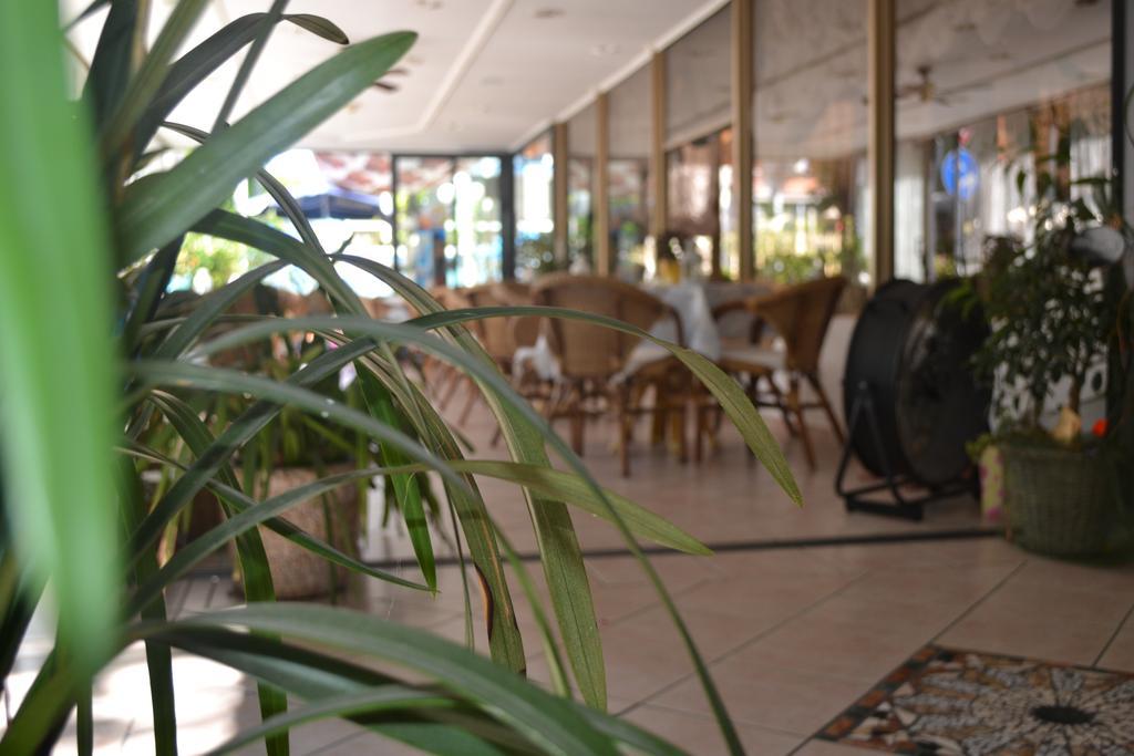 Hotel Alfredo'S Rimini Bagian luar foto